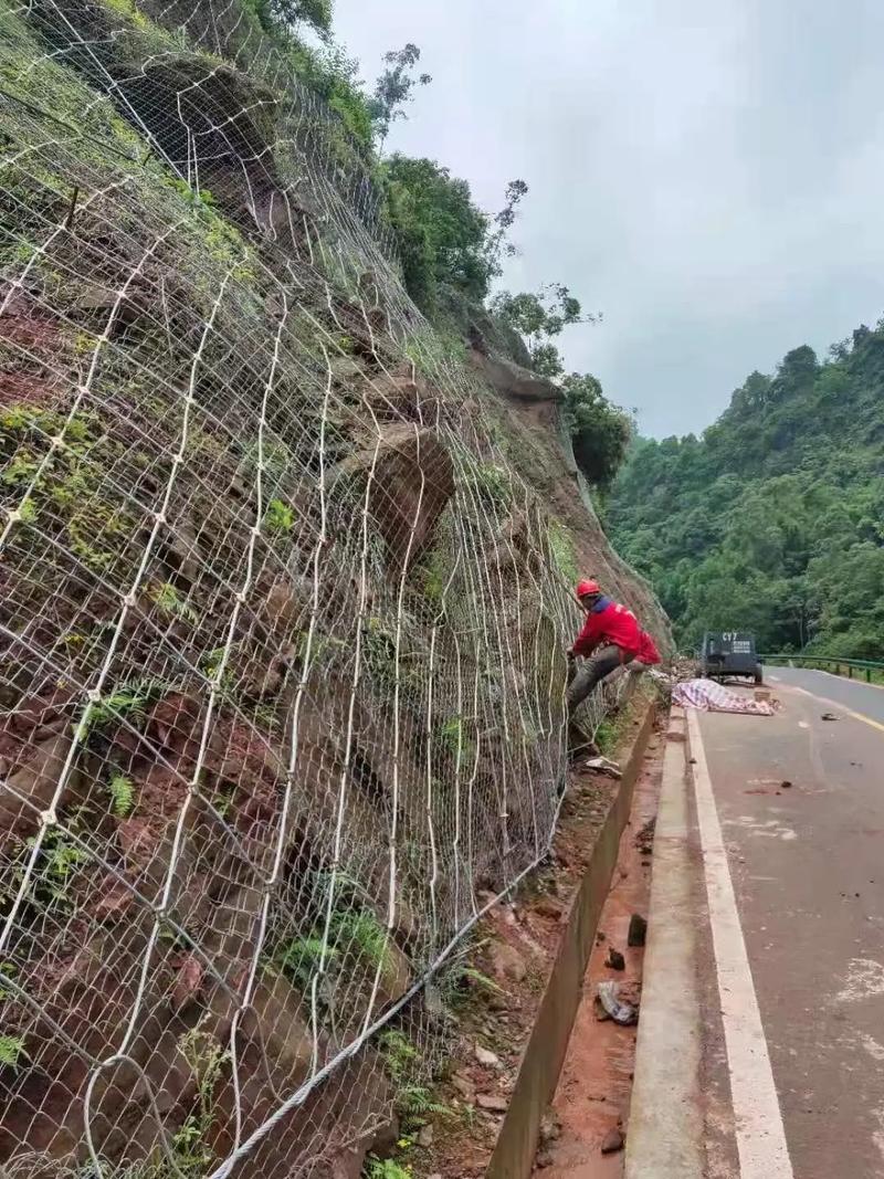 青岛南区边坡绿化防护